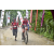 Team 11 / Raid Amazones Vietnam 2019 - J2 Bike and Run