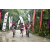 Team 136 / Raid Amazones Vietnam 2019 - J2 Bike and Run