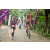 Team 57 / Raid Amazones Vietnam 2019 - J2 Bike and Run