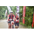 Team 14 / Raid Amazones Vietnam 2019 - J2 Bike and Run