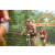 Team 06 / Raid Amazones Vietnam 2019 - J2 Bike and Run