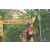 Team 53 / Raid Amazones Vietnam 2019 - J2 Bike and Run