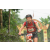 Team 53 / Raid Amazones Vietnam 2019 - J2 Bike and Run