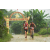 Team 50 / Raid Amazones Vietnam 2019 - J2 Bike and Run