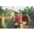 Team 50 / Raid Amazones Vietnam 2019 - J2 Bike and Run