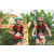 Team 62 / Raid Amazones Vietnam 2019 - J2 Bike and Run