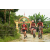 Team 148 / Raid Amazones Vietnam 2019 - J2 Bike and Run