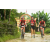 Team 119 / Raid Amazones Vietnam 2019 - J2 Bike and Run