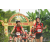 Team 29 / Raid Amazones Vietnam 2019 - J2 Bike and Run