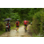 Team 07 / Raid Amazones Vietnam 2019 - J2 Bike and Run