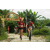 Team 18 / Raid Amazones Vietnam 2019 - J2 Bike and Run