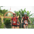 Team 38 / Raid Amazones Vietnam 2019 - J2 Bike and Run