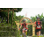 Team 33 / Raid Amazones Vietnam 2019 - J2 Bike and Run