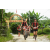 Team 35 / Raid Amazones Vietnam 2019 - J2 Bike and Run