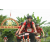 Team 137 / Raid Amazones Vietnam 2019 - J2 Bike and Run