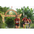 Team 143 / Raid Amazones Vietnam 2019 - J2 Bike and Run