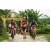Team 110 / Raid Amazones Vietnam 2019 - J2 Bike and Run