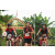 Team 110 / Raid Amazones Vietnam 2019 - J2 Bike and Run