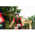 Team 114 / Raid Amazones Vietnam 2019 - J2 Bike and Run