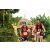 Team 86 / Raid Amazones Vietnam 2019 - J2 Bike and Run