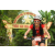 Team 120 / Raid Amazones Vietnam 2019 - J2 Bike and Run