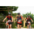Team 126 / Raid Amazones Vietnam 2019 - J2 Bike and Run