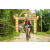 Team 90 / Raid Amazones Vietnam 2019 - J2 Bike and Run