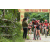 Team 136 / Raid Amazones Vietnam 2019 - J2 Bike and Run