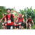 Team 89 / Raid Amazones Vietnam 2019 - J2 Bike and Run