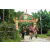Team 108 / Raid Amazones Vietnam 2019 - J2 Bike and Run