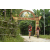 Team 94 / Raid Amazones Vietnam 2019 - J2 Bike and Run