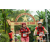 Team 22 / Raid Amazones Vietnam 2019 - J2 Bike and Run