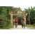 Team 08 / Raid Amazones Vietnam 2019 - J2 Bike and Run