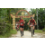 Team 08 / Raid Amazones Vietnam 2019 - J2 Bike and Run