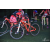 Team 29 / Raid Amazones Vietnam 2019 - J2 Bike and Run