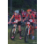 Team 74 / Raid Amazones Vietnam 2019 - J2 Bike and Run