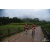 Team 45 / Raid Amazones Vietnam 2019 - J2 Bike and Run