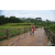 Team 53 / Raid Amazones Vietnam 2019 - J2 Bike and Run