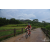Team 112 / Raid Amazones Vietnam 2019 - J2 Bike and Run