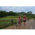 Team 29 / Raid Amazones Vietnam 2019 - J2 Bike and Run