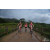 Team 121 / Raid Amazones Vietnam 2019 - J2 Bike and Run