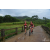 Team 09 / Raid Amazones Vietnam 2019 - J2 Bike and Run
