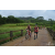 Team 177 / Raid Amazones Vietnam 2019 - J2 Bike and Run