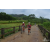 Team 90 / Raid Amazones Vietnam 2019 - J2 Bike and Run
