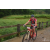 Team 127 / Raid Amazones Vietnam 2019 - J2 Bike and Run