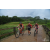 Team 144 / Raid Amazones Vietnam 2019 - J2 Bike and Run