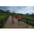 Team 31 / Raid Amazones Vietnam 2019 - J2 Bike and Run