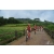 Team 83 / Raid Amazones Vietnam 2019 - J2 Bike and Run