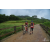 Team 75 / Raid Amazones Vietnam 2019 - J2 Bike and Run