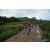 Team 64 / Raid Amazones Vietnam 2019 - J2 Bike and Run